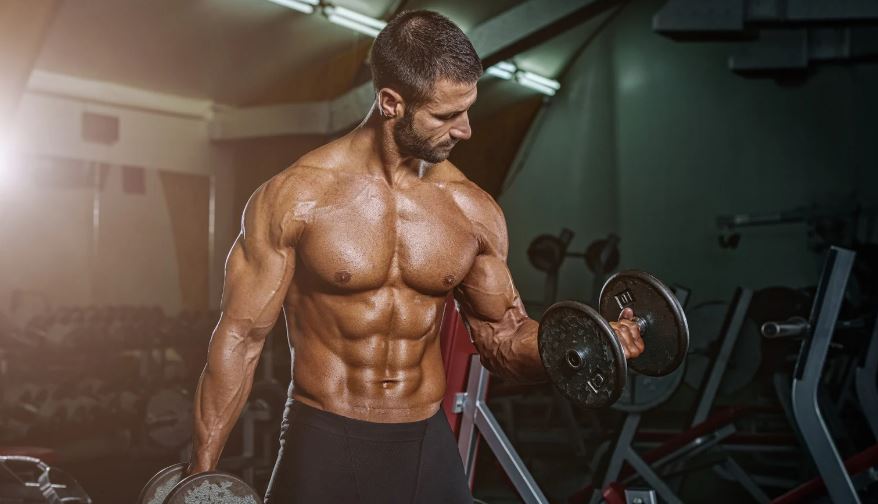 Cutting Workout Plan
